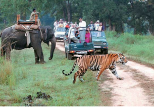 rajsthan