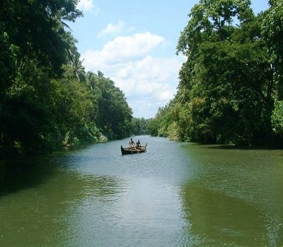 Backwater Kerala Tour