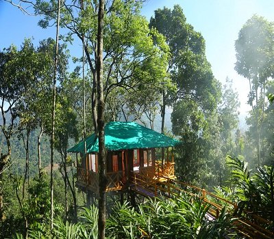 3 days kerala periyar treehouse trip