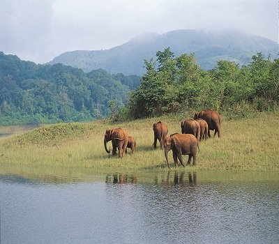 Kerala Pleasing Tour
